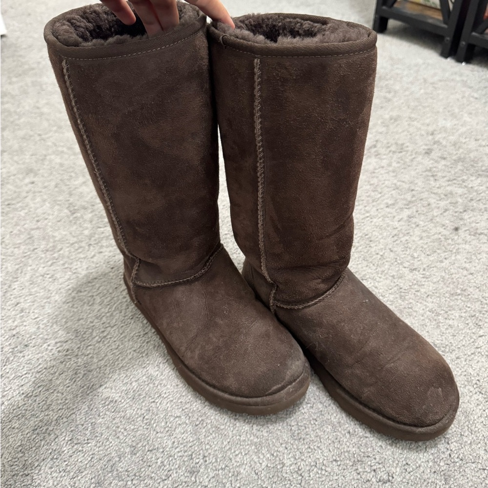 UGG Brown Winter Boots Plush Suede Mid-Calf